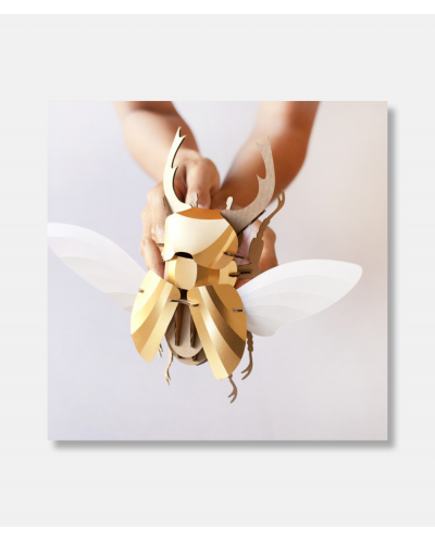 Model Atlas Beetle Gold DIY Kit